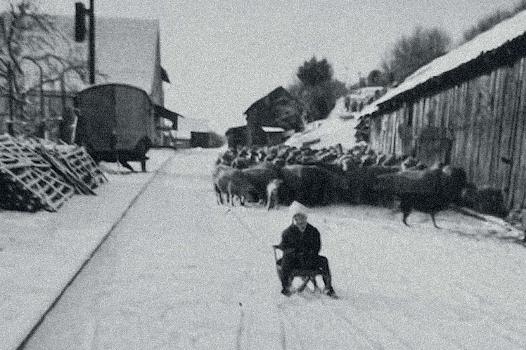 Otto Desch auf seinem Schlitten vor dem Schafstall (Quelle: Otto Desch, Mernes). Otto Desch auf seinem Schlitten vor dem Schafstall (Quelle: Otto Desch, Mernes).