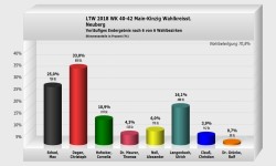 Neuberg Wahlkreisstimme