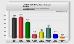 Schöneck Wahlkreisstimme