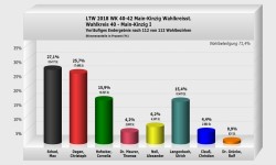 Wahlkreisstimme