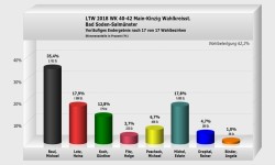 Bad Soden-Salmünster Wahlkreisstimme