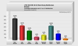 Birstein Wahlkreisstimme