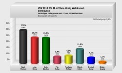 Gelnhausen Wahlkreisstimme