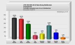 Linsengericht Wahlkreisstimme